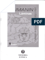 Laminas Cumanini PDF