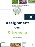 Assignment On:: Citronella