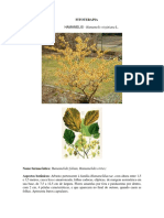 Hamamelis PDF