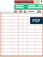 Control Visual - 5S