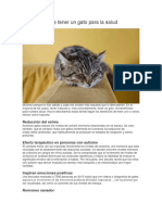 Gatos PDF