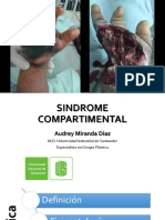 Sindrome Compartimental - USACA PDF