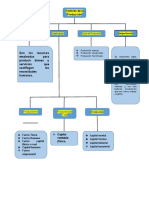 Mapa Conceptual