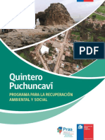 PRAS-Quintero-Puchuncavi.pdf