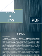 CPNS & PNS