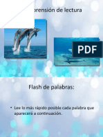 Delfines-Sopa de Letras