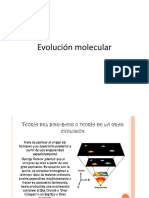 2evolución molecular.pptx