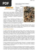 Geografia - portaltosabendo - Populações Cidades e Pobreza