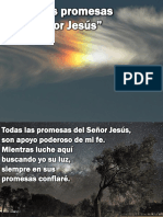Todas las promesas del Senor Jesus.pdf