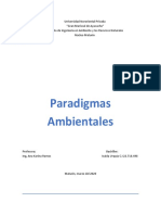 paradigmas ambientales.docx