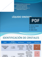 Seminario 4 Líquido Sinovial