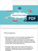 Perception & Motivation