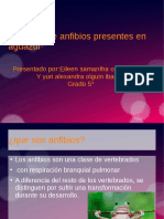 Seminario Biologia