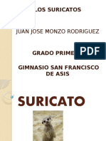 Juan Jose Monzo Suricato