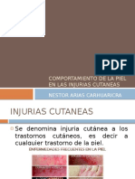 261093761-injurias-cutaneas.pptx