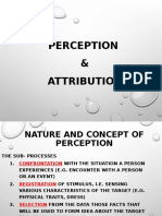 Perception Attribution