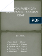 Budidaya, Panen Dan Pasca Panen Tanaman Obat-1