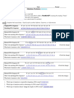 Name - Date - Period - Mutations Worksheet