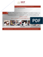 Ppi Promocion Direccion Ems 2019 Feb19 20190201 PDF