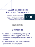 Project Management Risks and Constraints