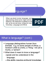 What Is Language2