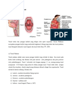 Anatomi_Dan_Fisiologi_Tonsil.docx