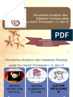 Perubahan Adaptasi Dan Fisiologi Ibu Hamil TM I, II, Dan III