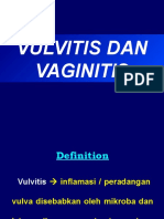 Vulvitis-Vaginitis