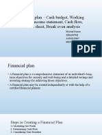 Financial Plan - Cash Budget, Working Capital