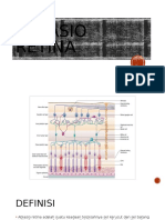 Ablasio Retina