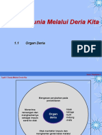 1.1 Organ Deria.ppt