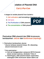 Isolation of Plasmid