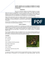 Proyecto Mariposas (Investigacion I)