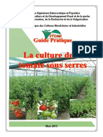 Guide Pratique La Culture de La Tomate Sous Serres PDF