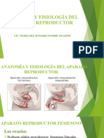 Anatomía y Fisiología Del Aparato Reproductor