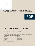 Clase8 Myxomycetos