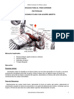 7ejercicios para miembro superior (1).pdf