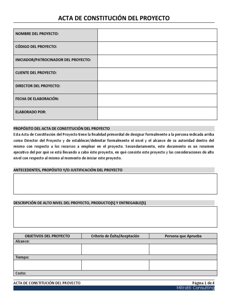 Acta de Constitucion Del Proyecto | PDF | Presupuesto | Economias