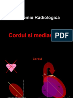 Anatomia CORDULUI SI MEDIASTINULUI (PT Curs Stud)