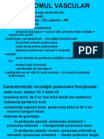 dasdsa.ppt