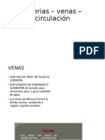 23 Arterias – venas – circulación