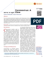 The Novel Coronavirus: A Bird's Eye View: Review