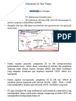 (ESTRADIOL) Mekanisme & Aksi Target