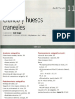 Cap 11 Craneo y Hesos Craneales.pdf