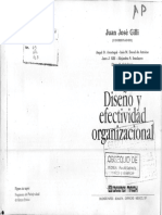 Diseno y Efectividad Organizacional Jose Gilli PDF