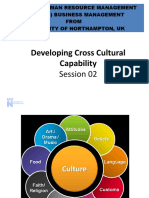 Developing Cross Cultural Capability: Session 02