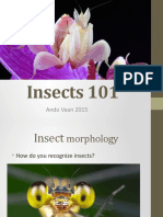 Insects 101: Ando Vaan 2015