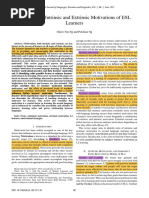 Intrinsic and Extrinsic Motiviation Learners