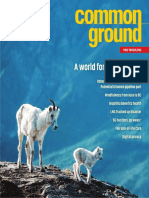 CG332 2019-04 Common Ground Magazine 