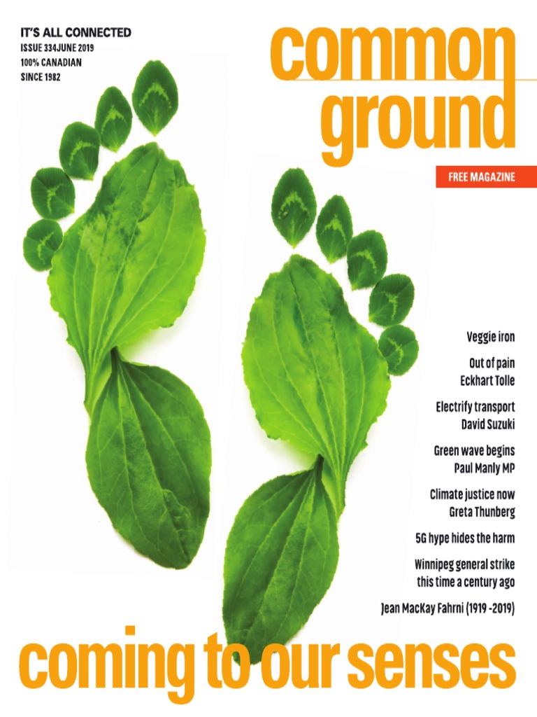 CG334 201907 Common Ground Magazine PDF Strike Action Nature